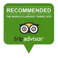 tripadvisor-removebg-preview